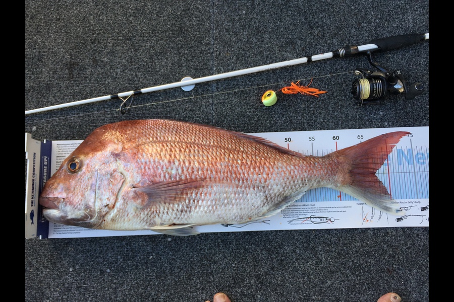Hilman Solomon caught this 67.0cm Snapper at Manukau during The Export NZ Fishing Competition
