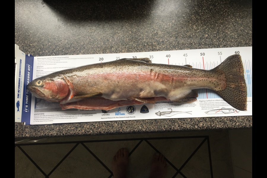 Andrew Morgan caught this 61.0cm Trout at Canty high country during The Export NZ Fishing Competition