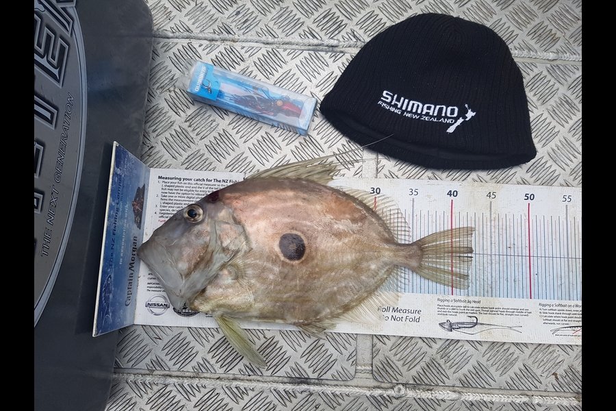 Spencer Roff caught this 42.5cm John Dory at Kingie spot during The Export NZ Fishing Competition