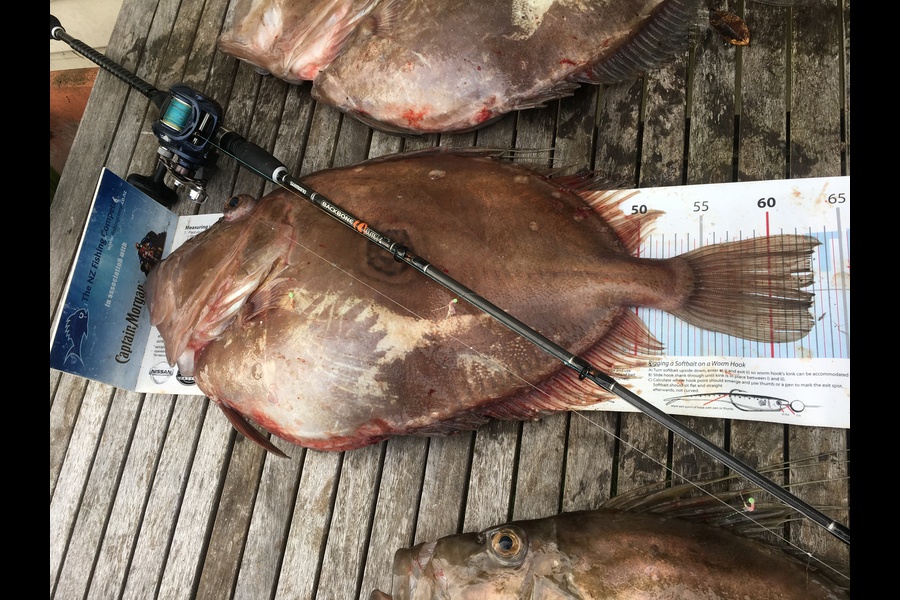 Reece Claxton caught this 63.0cm John Dory at Wellington during The Export NZ Fishing Competition