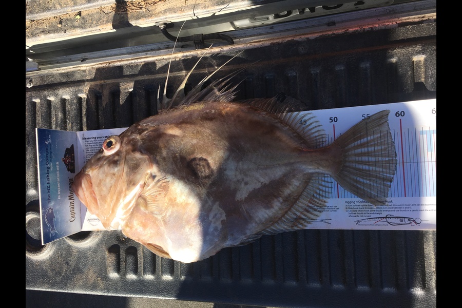 Reece Claxton caught this 59.0cm John Dory at Wellington during The Export NZ Fishing Competition
