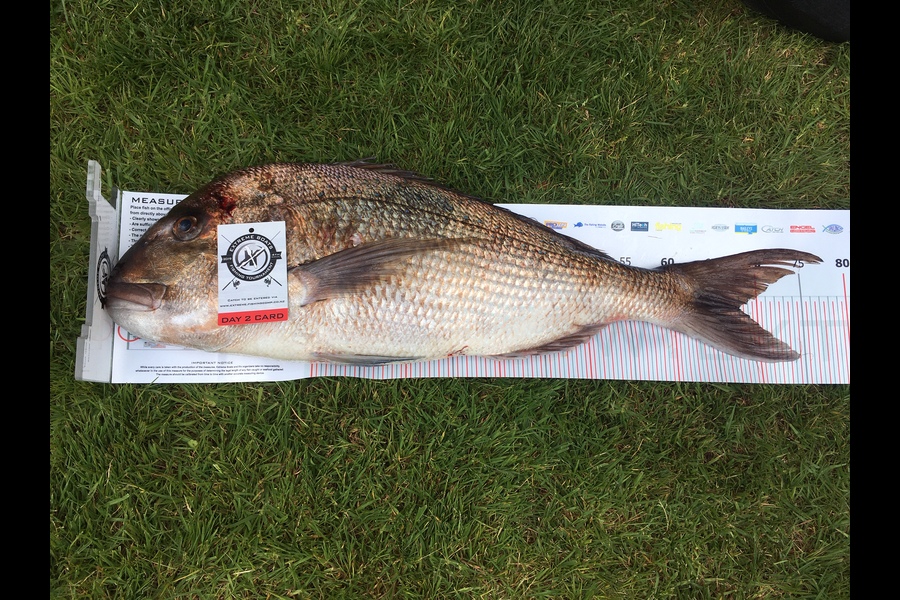 Brian  Hodgson caught this 68.0cm Snapper at Coromandel during The Export NZ Fishing Competition