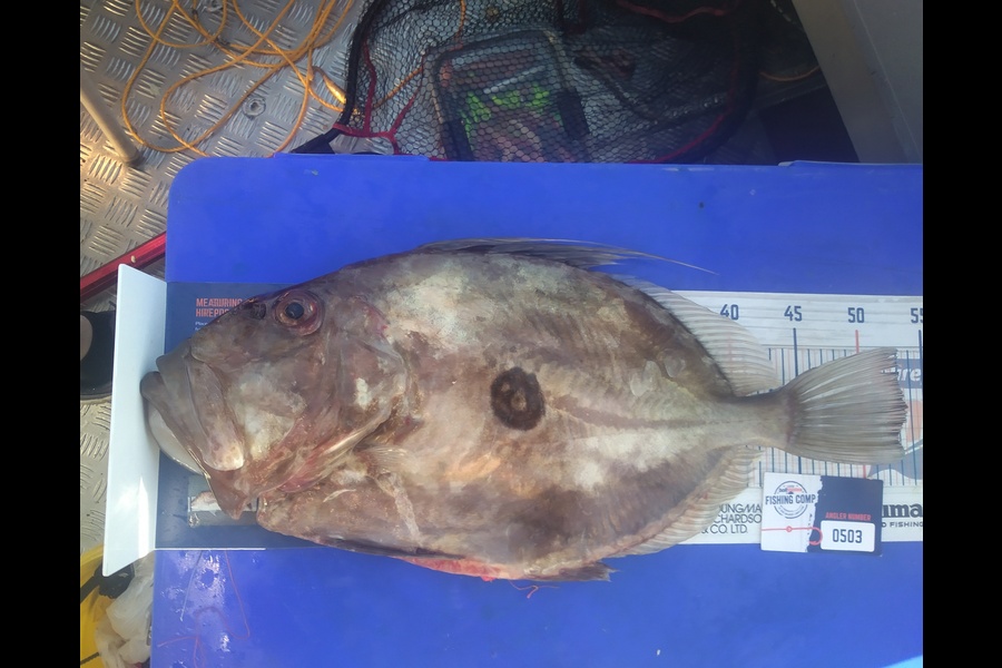 Ben Cullen caught this 53.5cm John Dory at Kawau during The Export NZ Fishing Competition