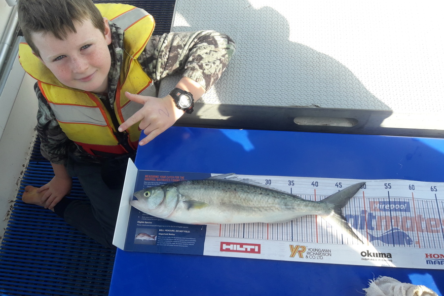 Jo Ralph caught this 45.0cm Kahawai at Waiheke    during The Export NZ Fishing Competition