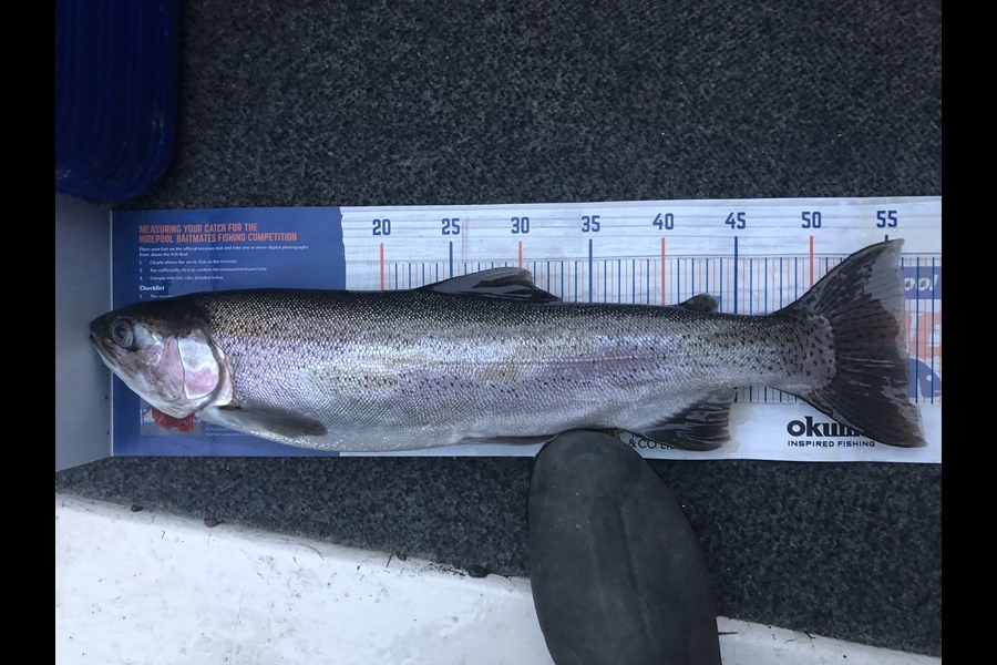 Ryan Bailey caught this 56.0cm Trout at Taupo during The Export NZ Fishing Competition