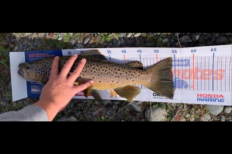 Caleb  Taiulu caught this 54cm Trout at Benmore Canal  during The Export NZ Fishing Competition