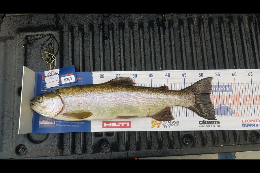 Gabriele Meoni caught this 52.0cm Trout at Taupo during The Export NZ Fishing Competition