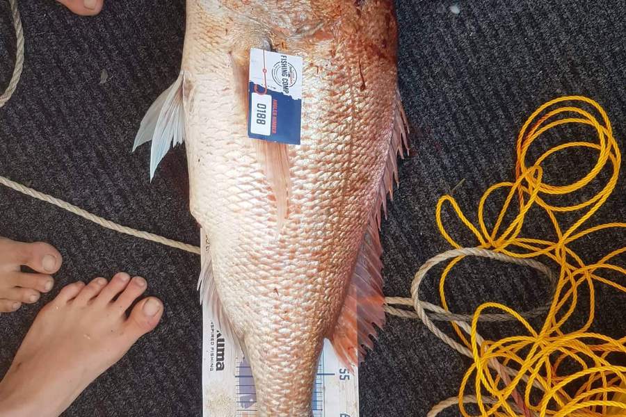 Jayden Johns caught this 70.0cm Snapper at Coromandel during The Export NZ Fishing Competition