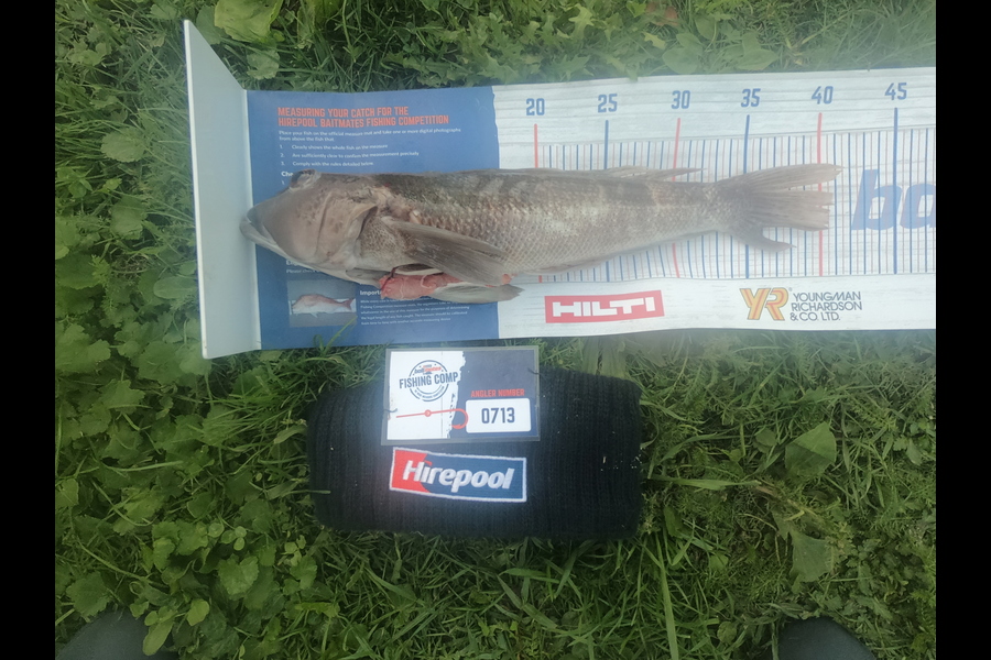 George Dobson caught this 40.5cm Blue Cod at Golden bay during The Export NZ Fishing Competition