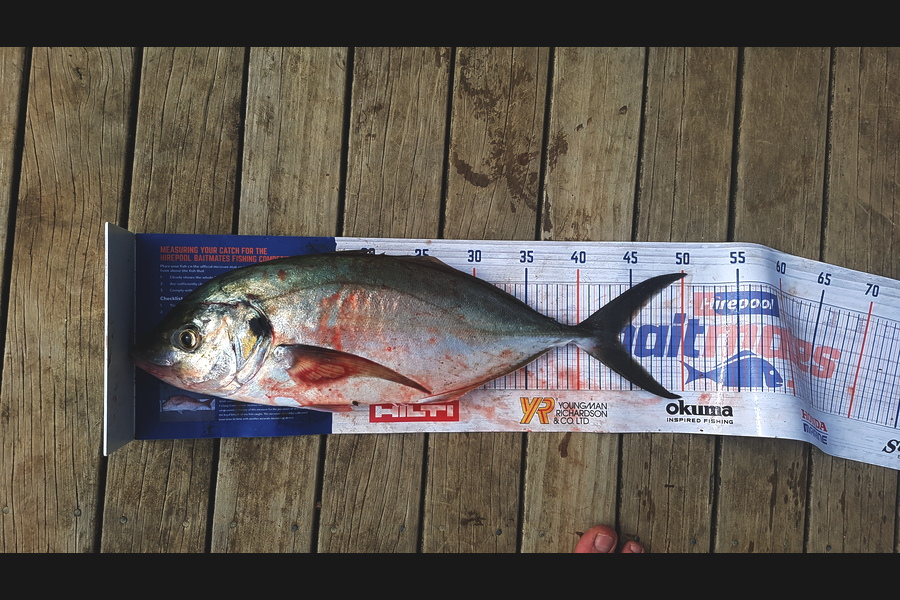 Brad  Pulham  caught this 44.0cm Trevally at Tutukaka during The Export NZ Fishing Competition