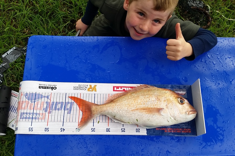 Kevin Ralph caught this 38.5cm Snapper at Rakino during The Export NZ Fishing Competition