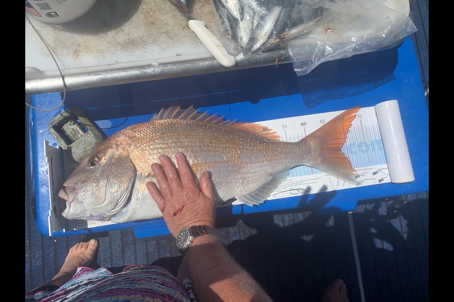 Graham Dick caught this 68.5cm Snapper at Noises during The Export NZ Fishing Competition