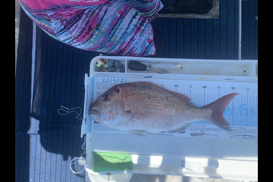 Roma Bertasius caught this 46cm Snapper at Noises  during The Export NZ Fishing Competition