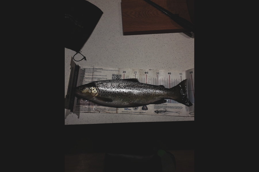 Daniel Primmer caught this 47cm Trout at Motueka river during The Export NZ Fishing Competition
