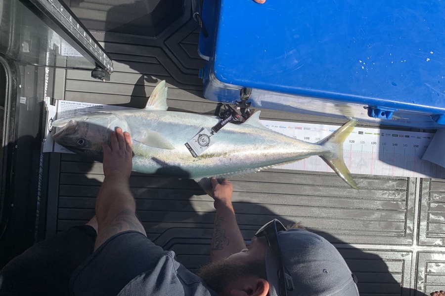 Loren Clothier caught this 116.5cm Kingfish at Coromandel during The Export NZ Fishing Competition