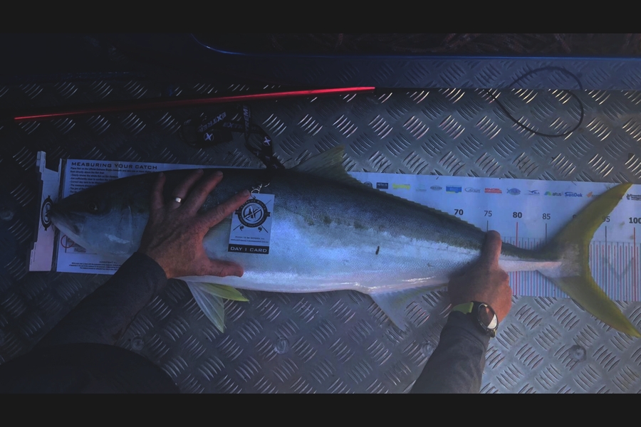 Craig  McVicar caught this 92.0cm Kingfish at Coromandel during The Export NZ Fishing Competition