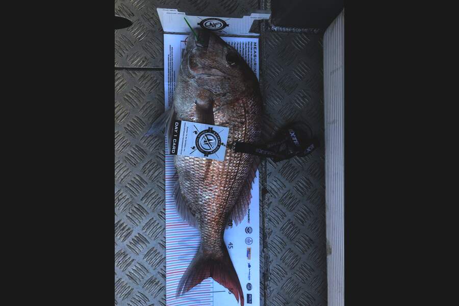 Johno McClymont caught this 51cm Snapper at Coromandel during The Export NZ Fishing Competition