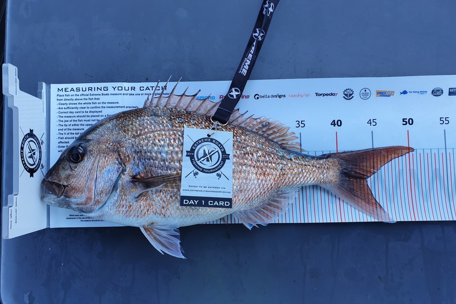 Daniel  Rowley-Anderson caught this 44.0cm Snapper at Coromandel during The Export NZ Fishing Competition