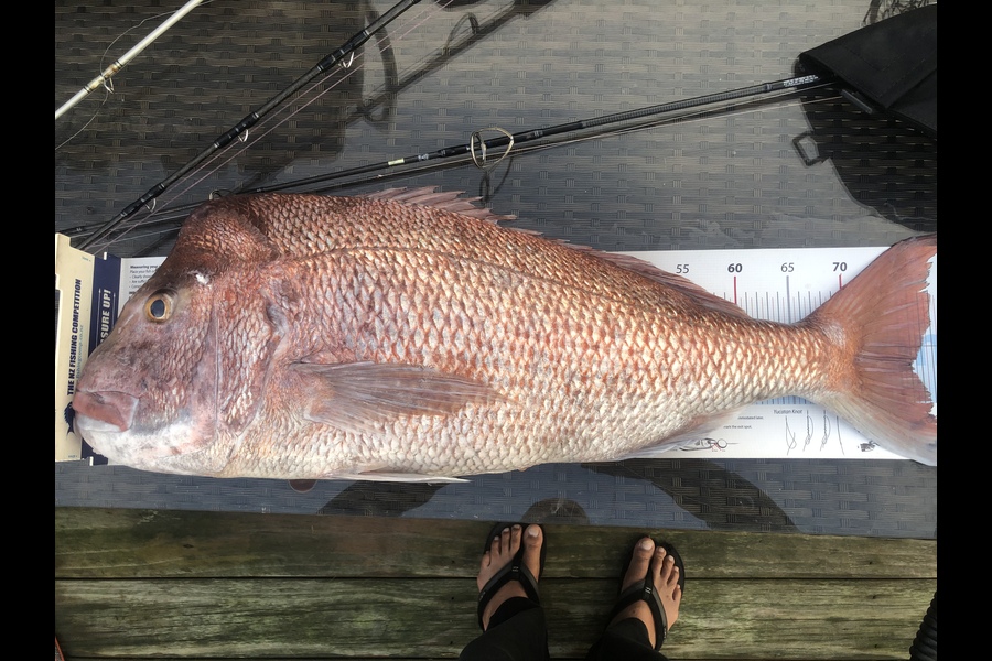 Charlie Pou caught this 76.0cm Snapper at Houhora during The Export NZ Fishing Competition