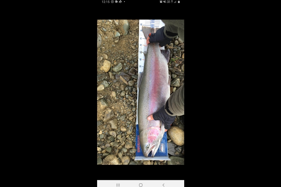 Ben Cullen caught this 84cm Trout at Twizel during The Export NZ Fishing Competition