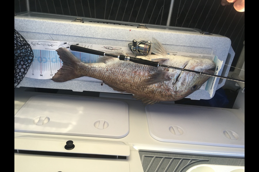 Garry Hirst caught this 79.0cm Snapper at Boi during The Export NZ Fishing Competition