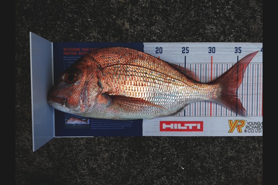Karen Moffatt-McLeod caught this 34.5cm Snapper at Whitianga during The Export NZ Fishing Competition