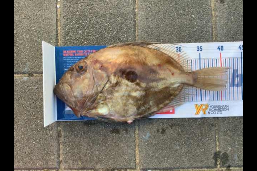Mark Piskulic caught this 41.5cm John Dory at Doubtless bay during The Export NZ Fishing Competition