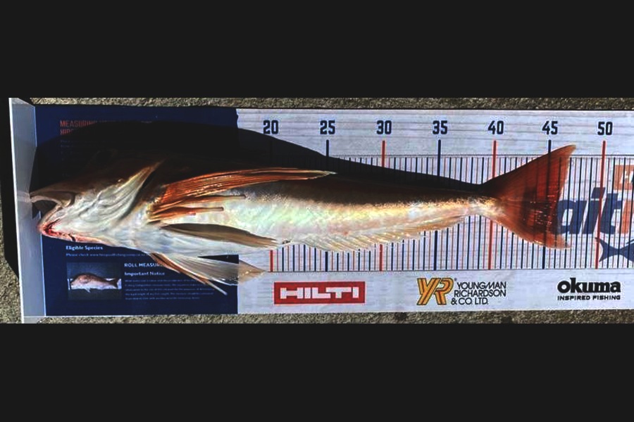 Thomas Grant caught this 46.0cm Gurnard at Hawkes Bay during The Export NZ Fishing Competition