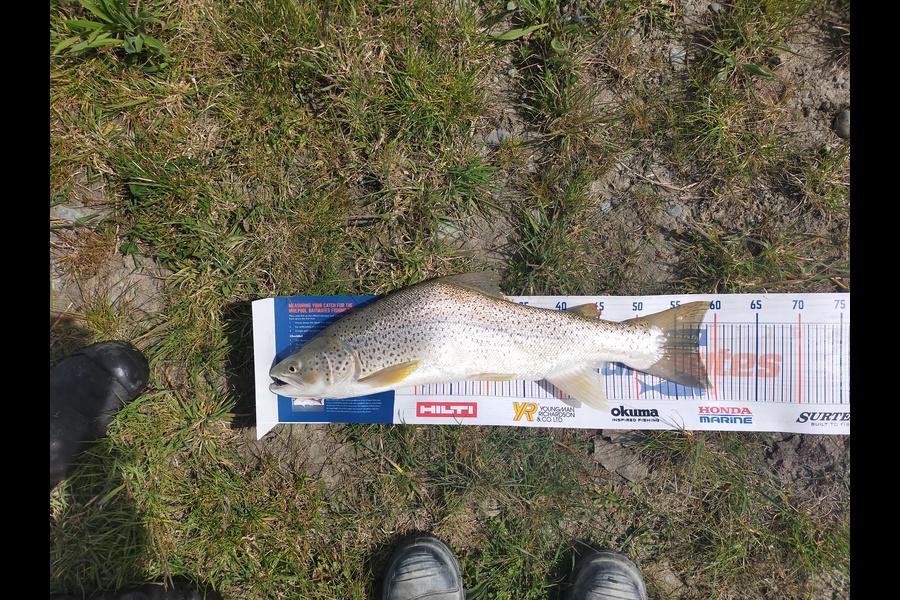 Rochelle Cooper caught this 058cm Trout at Rangitata during The Export NZ Fishing Competition