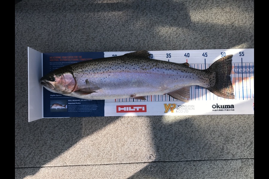 Dave Hodges caught this 51.5cm Trout at Lake Arapuni during The Export NZ Fishing Competition