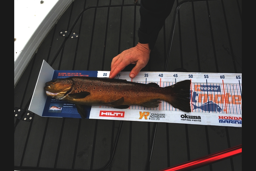 Maurice Bulford caught this 49.5cm Trout at Lake Brunner  during The Export NZ Fishing Competition