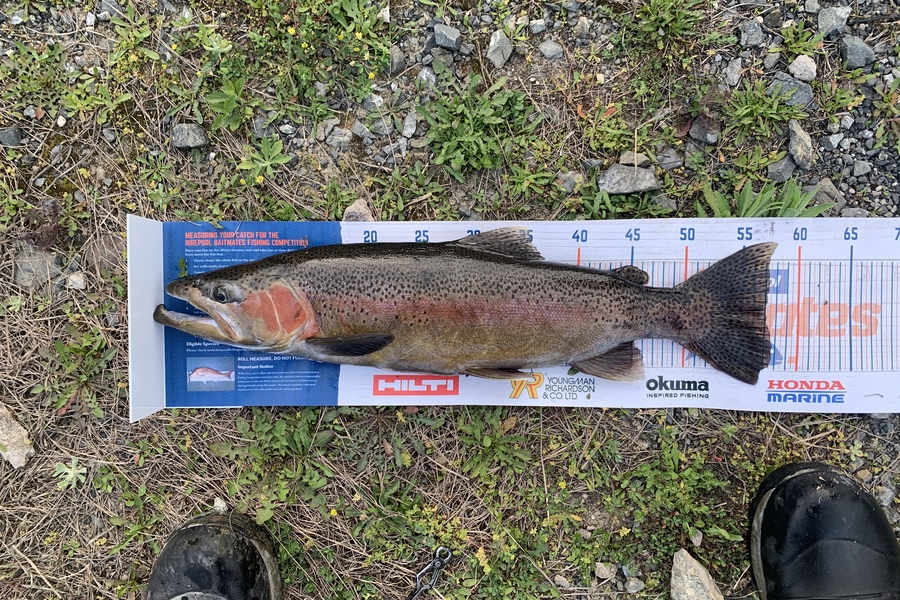 Josiah Atkinson caught this 57cm Trout at Whakatane  during The Export NZ Fishing Competition