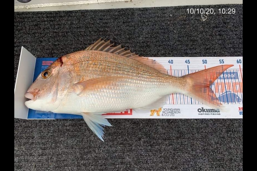 Hayley Searancke caught this 50cm Snapper at Waitara during The Export NZ Fishing Competition