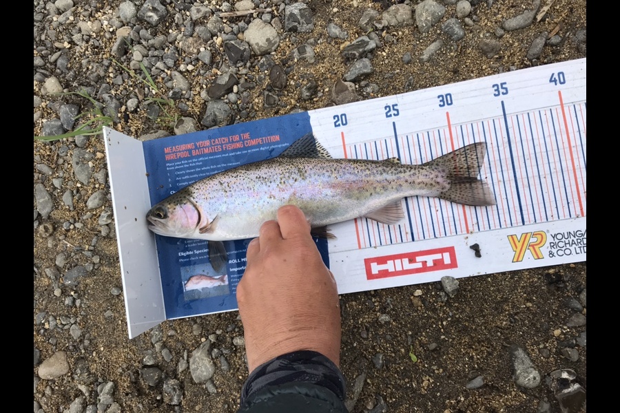 Gabriel Vilgalys caught this 31.5cm Trout at Whakatane  during The Export NZ Fishing Competition