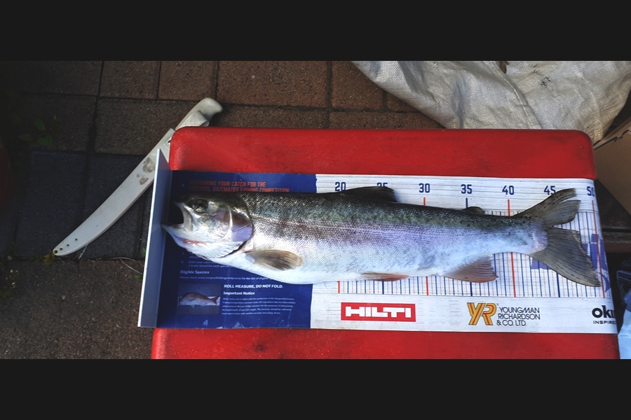 Richard Gardiner caught this 47cm Trout at taupo during The Export NZ Fishing Competition