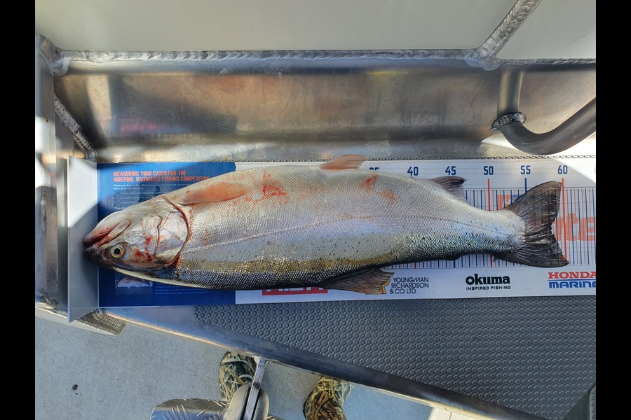 Cody Kenny caught this 58cm Trout at Lake rotoiti during The Export NZ Fishing Competition