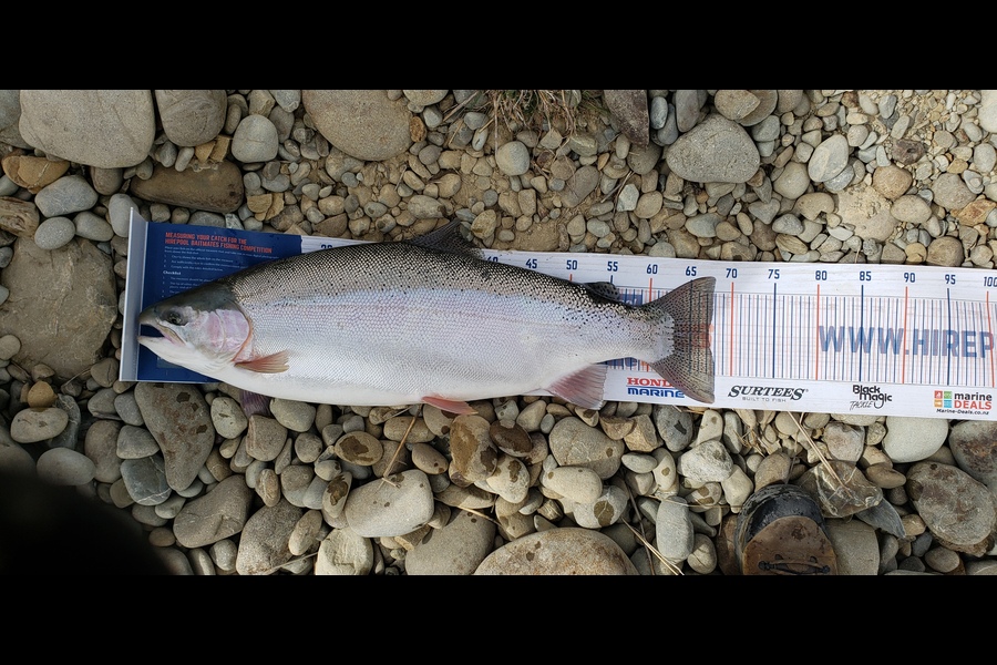 Dave Green caught this 67cm Trout at Twizel during The Export NZ Fishing Competition