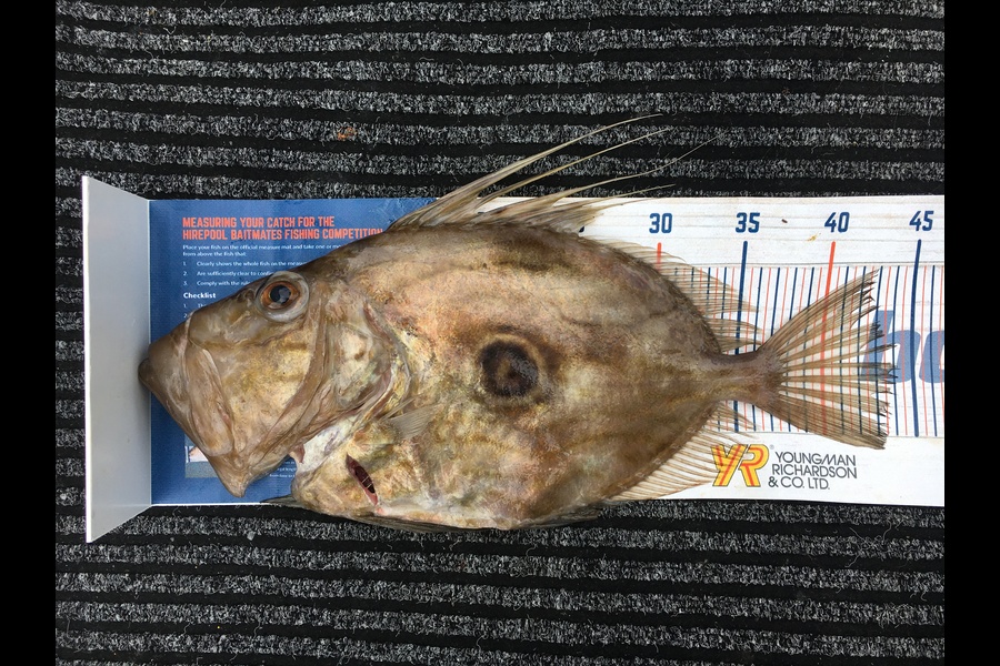 Brandon Hull caught this 42.5cm John Dory at Bay of Islands during The Export NZ Fishing Competition
