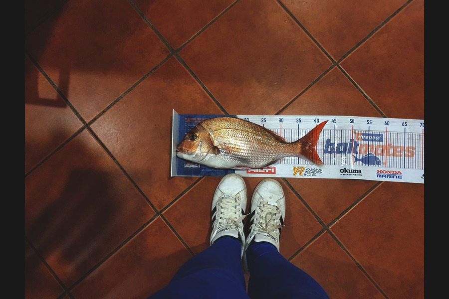Mandy Martin caught this 39cm Snapper at Firth of thames during The Export NZ Fishing Competition