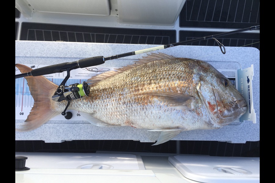 Garry Hirst caught this 75.5cm Snapper at Northland during The Export NZ Fishing Competition