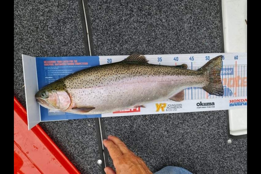 Ray Short caught this 54.0cm Trout at Lake Rotoiti Rotorua during The Export NZ Fishing Competition