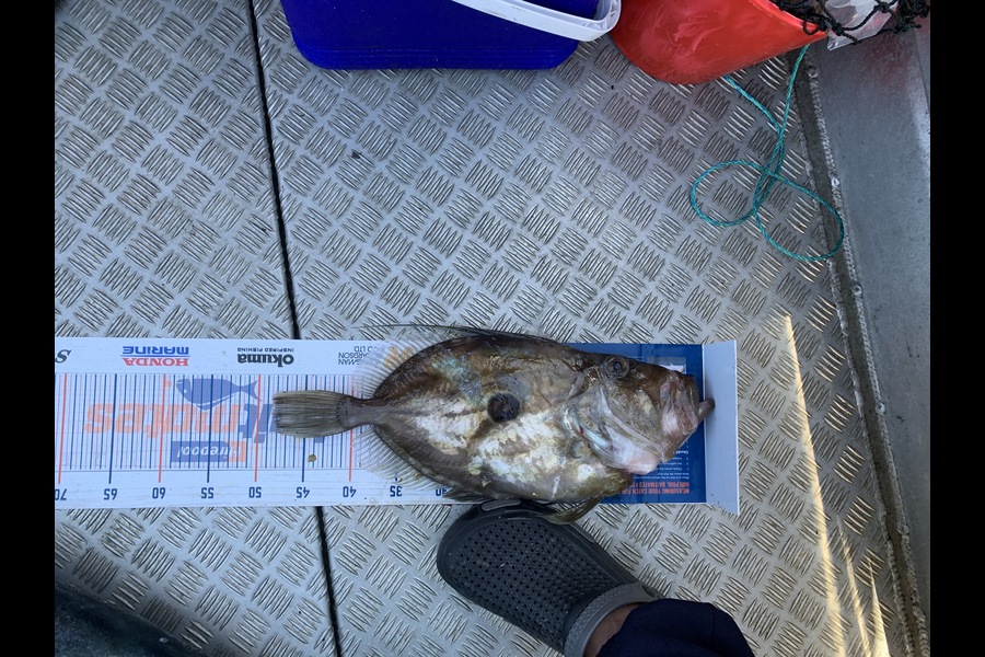 Andre Stickling caught this 48.5cm John Dory at Mayor Island during The Export NZ Fishing Competition