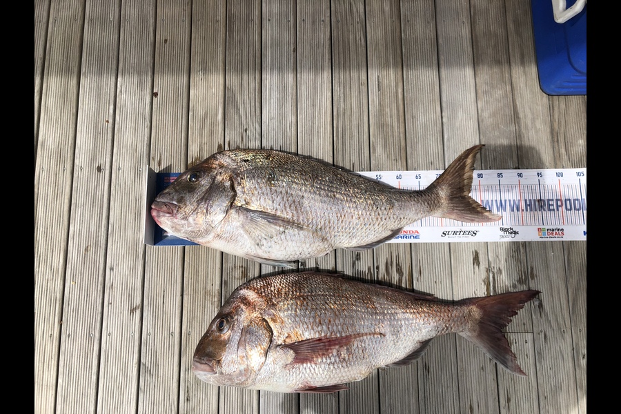 Tj Symes caught this 77cm Snapper at Kawau island  during The Export NZ Fishing Competition