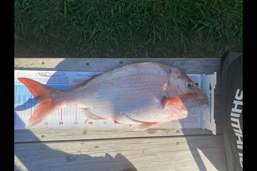 Jess Watt caught this 57.5cm Snapper at Otautu Bay during The Export NZ Fishing Competition