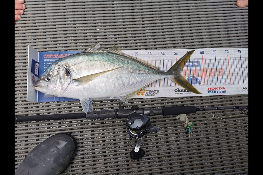 Hayden Markham caught this 51.0cm Trevally at New Plymouth  during The Export NZ Fishing Competition