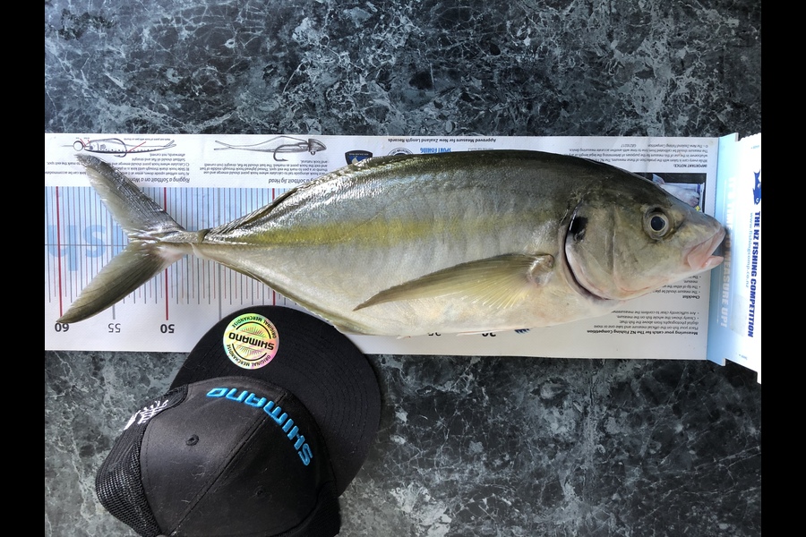 Daneo  Huxtable  caught this 53.0cm Trevally at Penguin shoals  during The Export NZ Fishing Competition