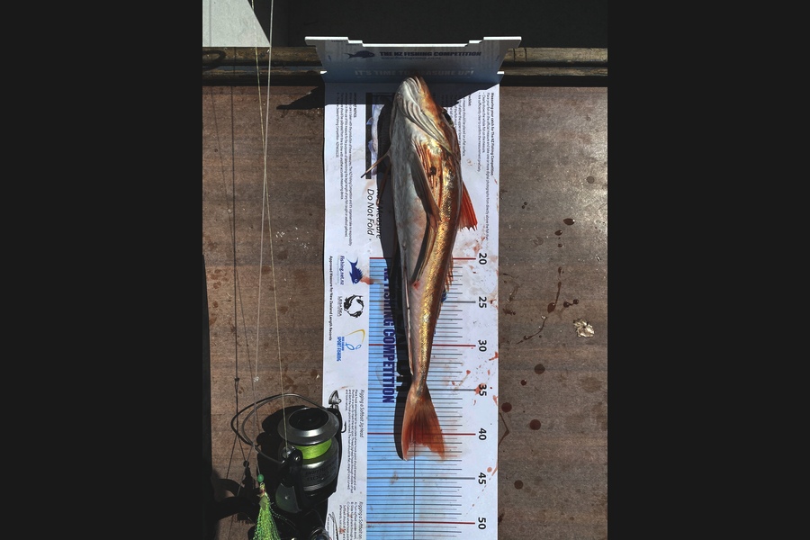 Sean Riley caught this 40.5cm Gurnard at Tasman Bay during The Export NZ Fishing Competition