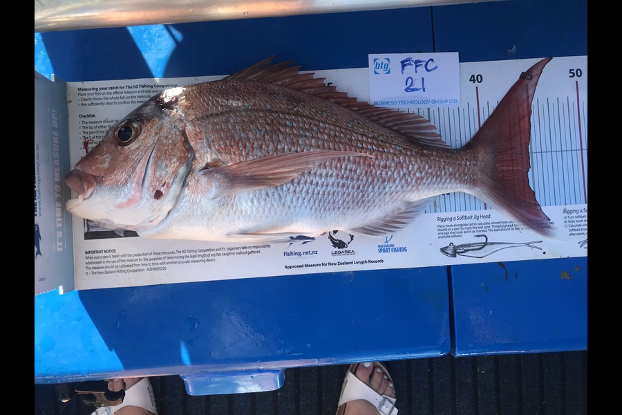 Roma Bertasius caught this 45.0cm Snapper at Noises  during The Export NZ Fishing Competition