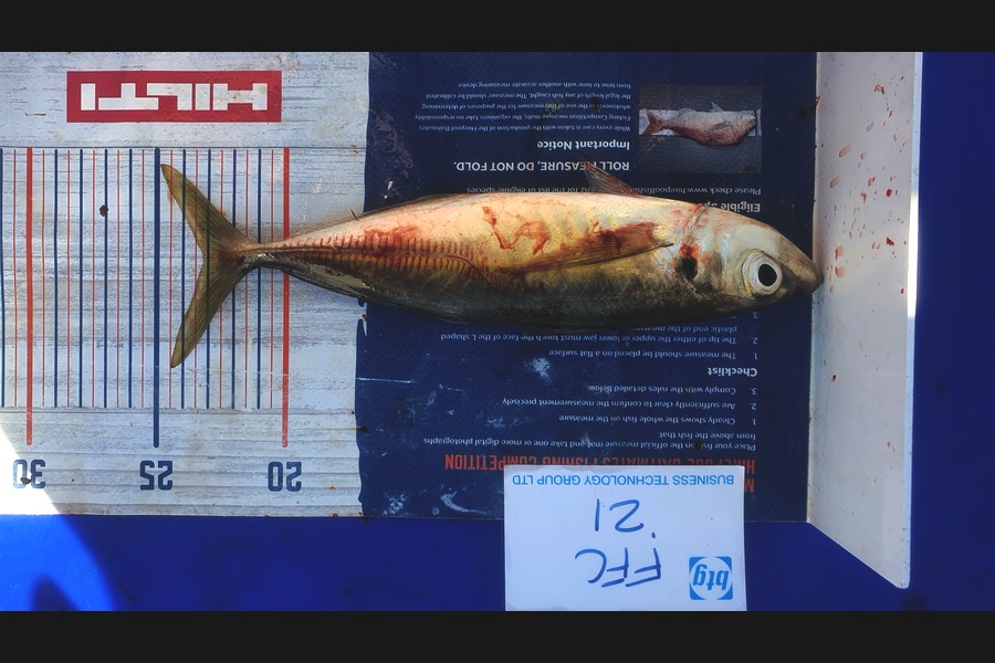 Gary Williamson caught this 23.0cm Other at Motuihe during The Export NZ Fishing Competition