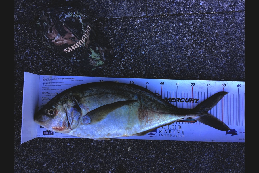 Kyle Smith caught this 55.0cm Trevally at Wellington harbour during The Export NZ Fishing Competition